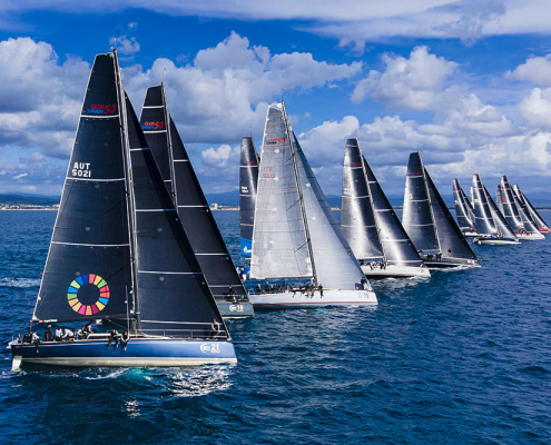 vela experience: Swan